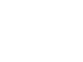 SciNet